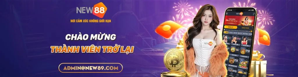 Hình ảnh banner chính Chính Sách Cookie momo88 khuyến mãi
