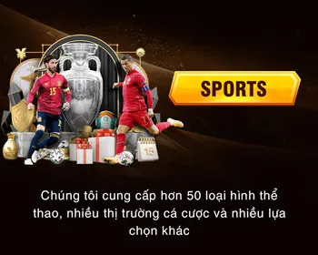 Tổng quan các chương trình khuyến mãi momo88